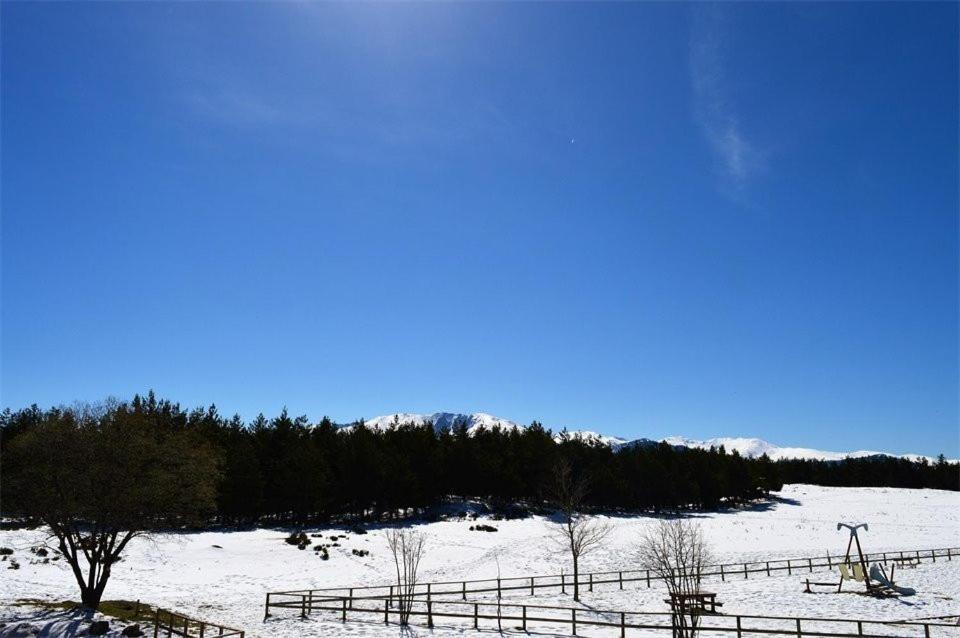 Apt Confortable Au Pied Des Pistes Et De La Foret Bolquère 외부 사진