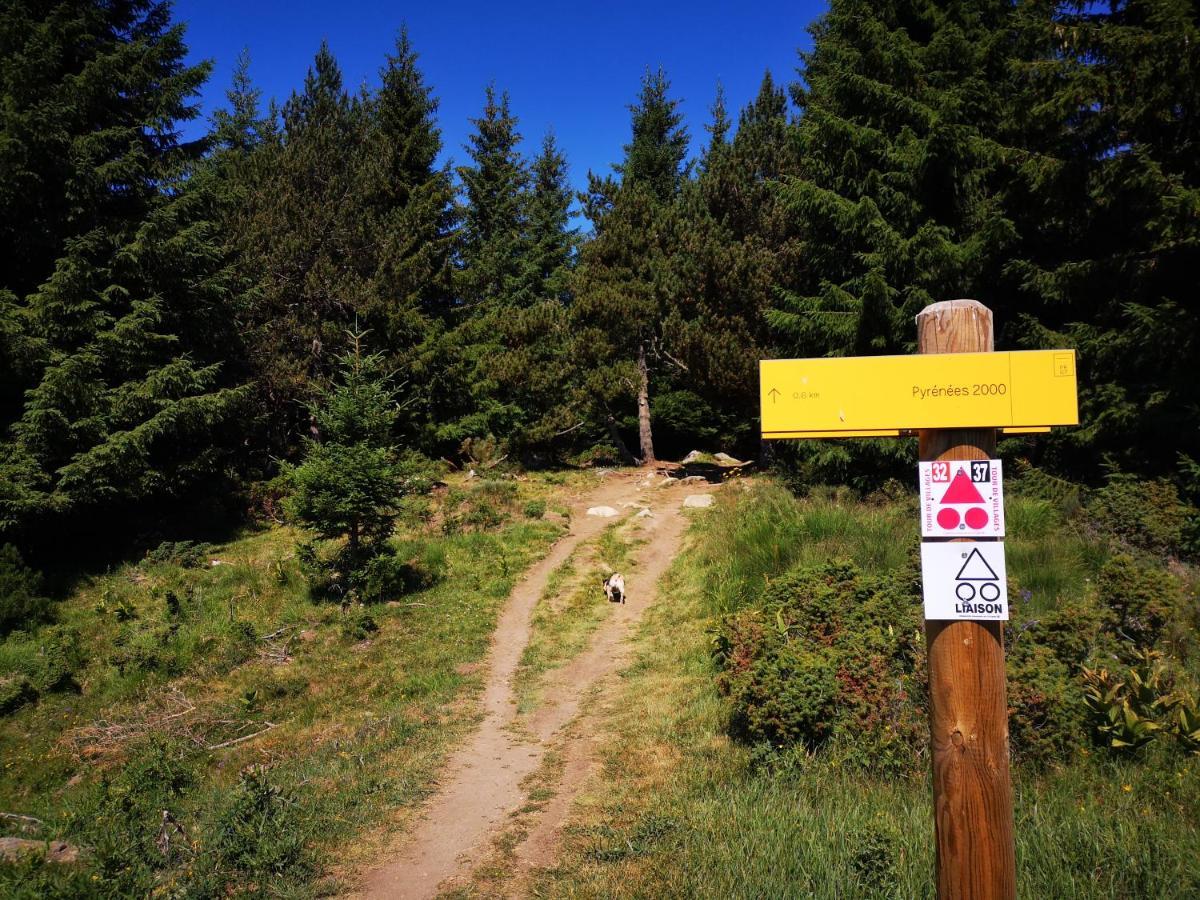 Apt Confortable Au Pied Des Pistes Et De La Foret Bolquère 외부 사진