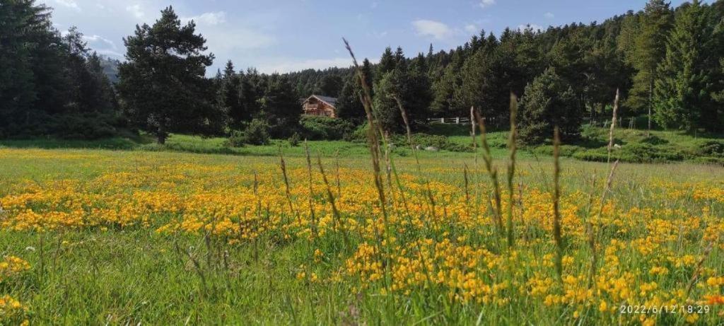 Apt Confortable Au Pied Des Pistes Et De La Foret Bolquère 외부 사진