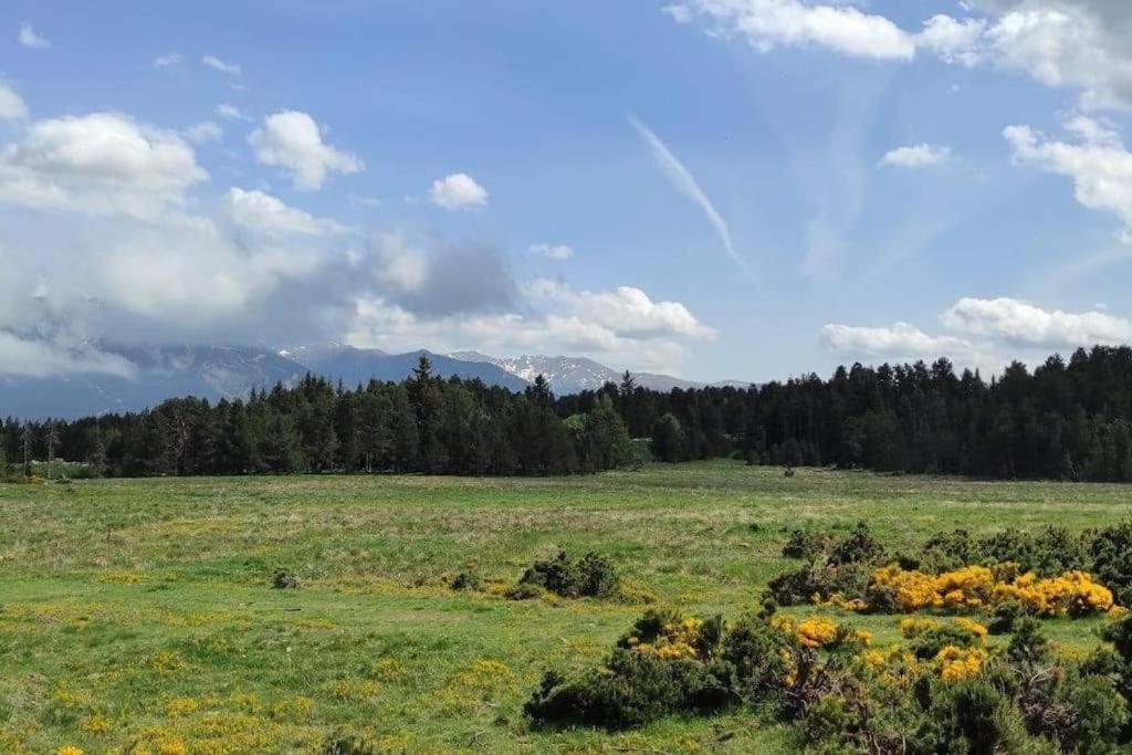 Apt Confortable Au Pied Des Pistes Et De La Foret Bolquère 외부 사진